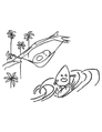 Critter Coloring Book